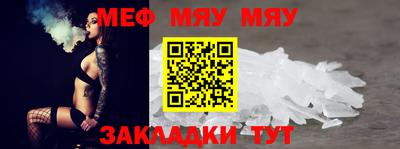 индика Гатчина