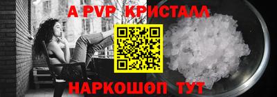 индика Гатчина