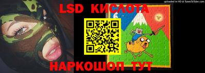 индика Гатчина
