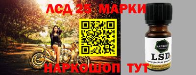 индика Гатчина