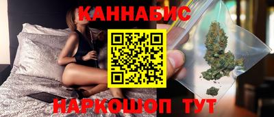 индика Гатчина