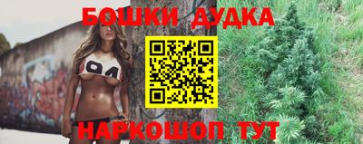 индика Гатчина