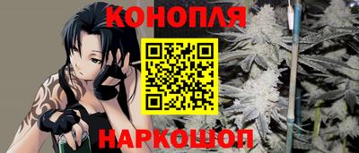 индика Гатчина