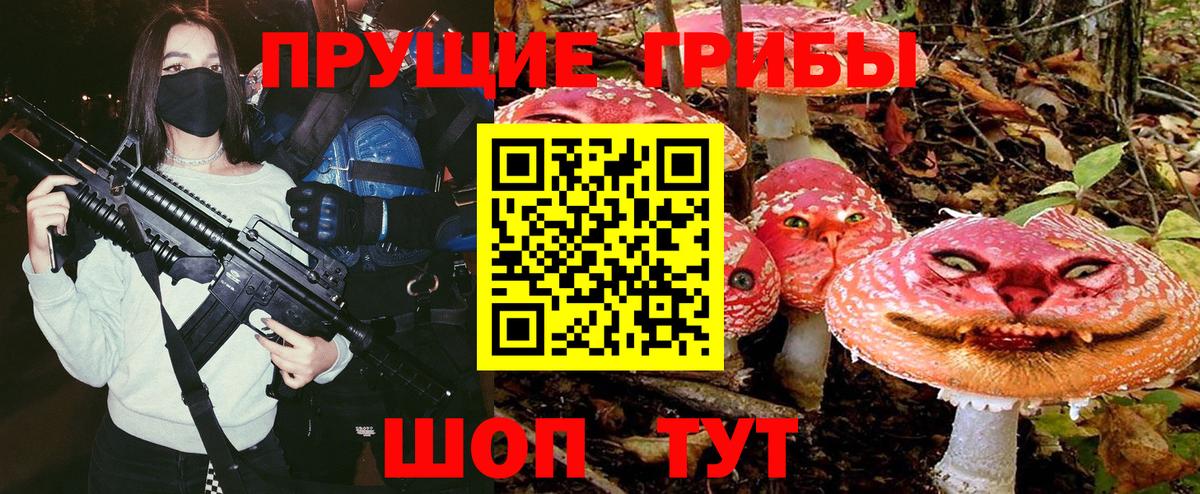 что такое   Вход с VPN  Михайловка  Галлюциногенные грибы Psilocybine cubensis 