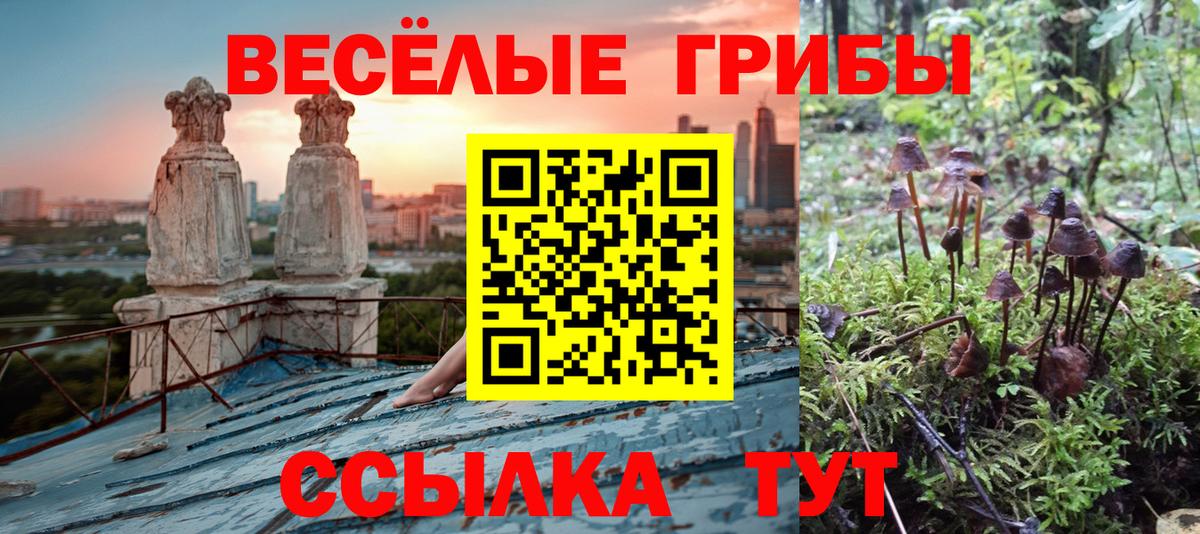 Галлюциногенные грибы ЛСД Михайловка